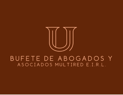 Equipo NETCAABOG ABOGADOS Y CONSULTORES S.A.C. en reunión